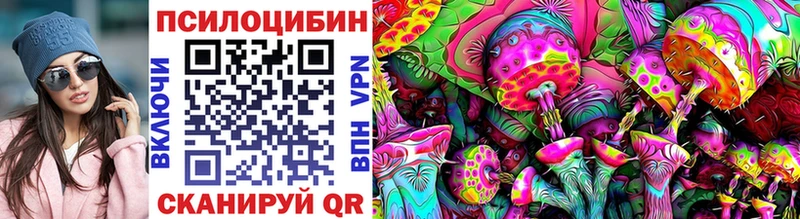 Галлюциногенные грибы Psilocybe  Купить закладки  Дивногорск 